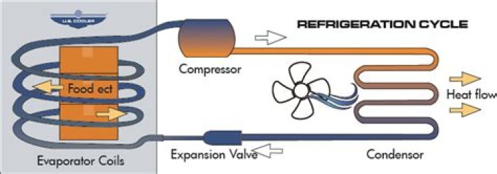 How walk in freezers work?