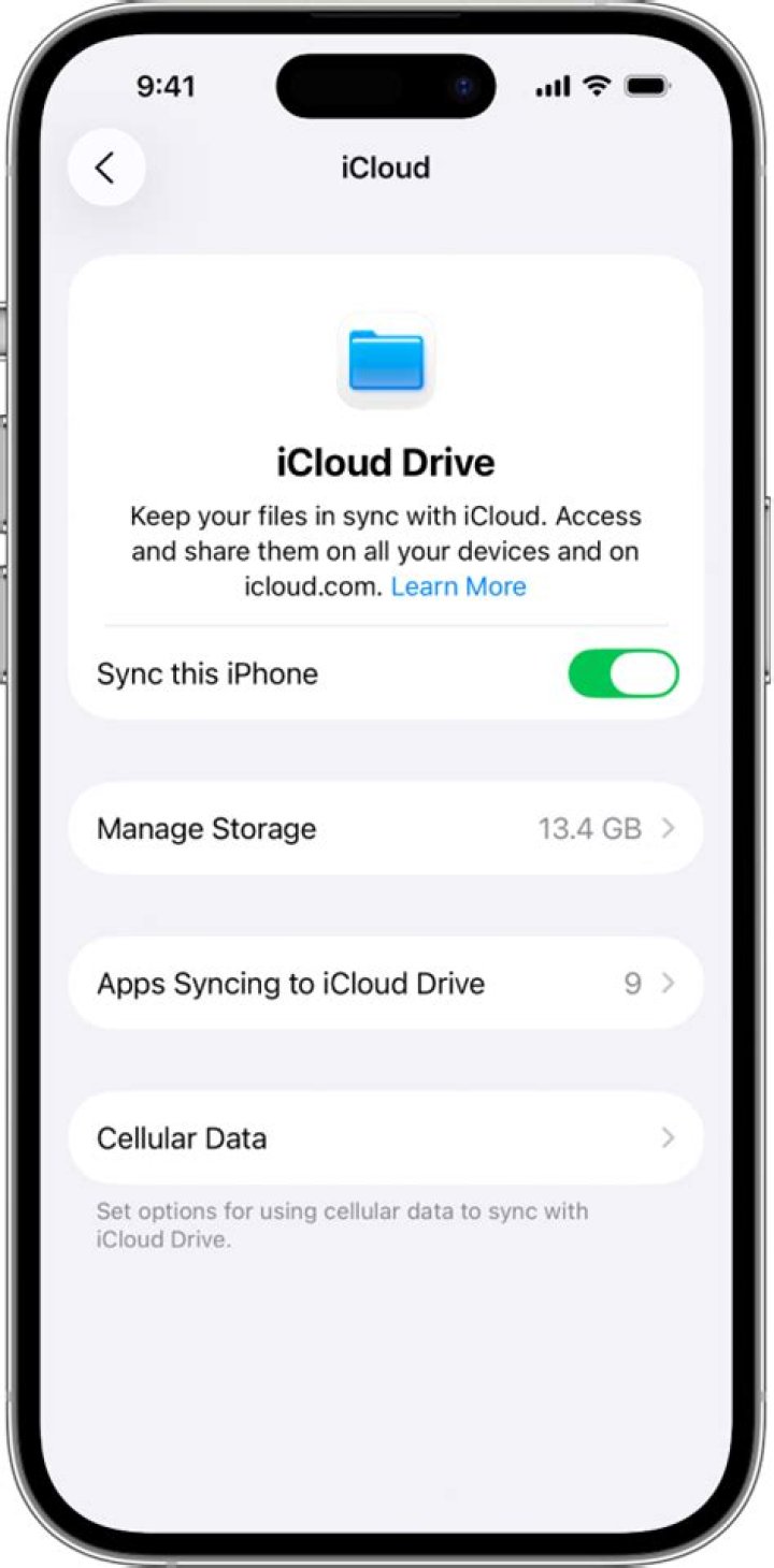Should icloud drive be turned on?