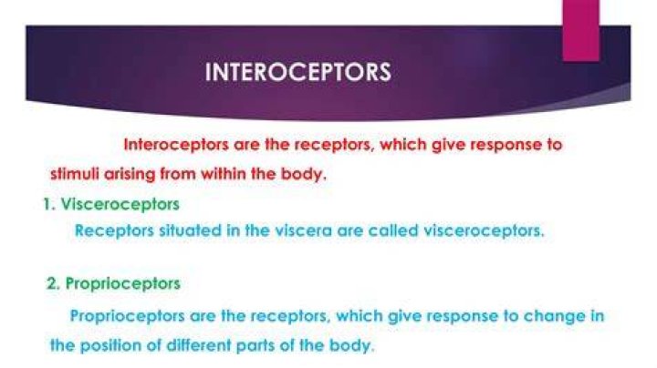 Where are interoceptors located?