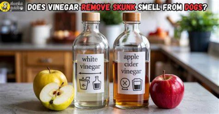 Will dnr remove skunks?